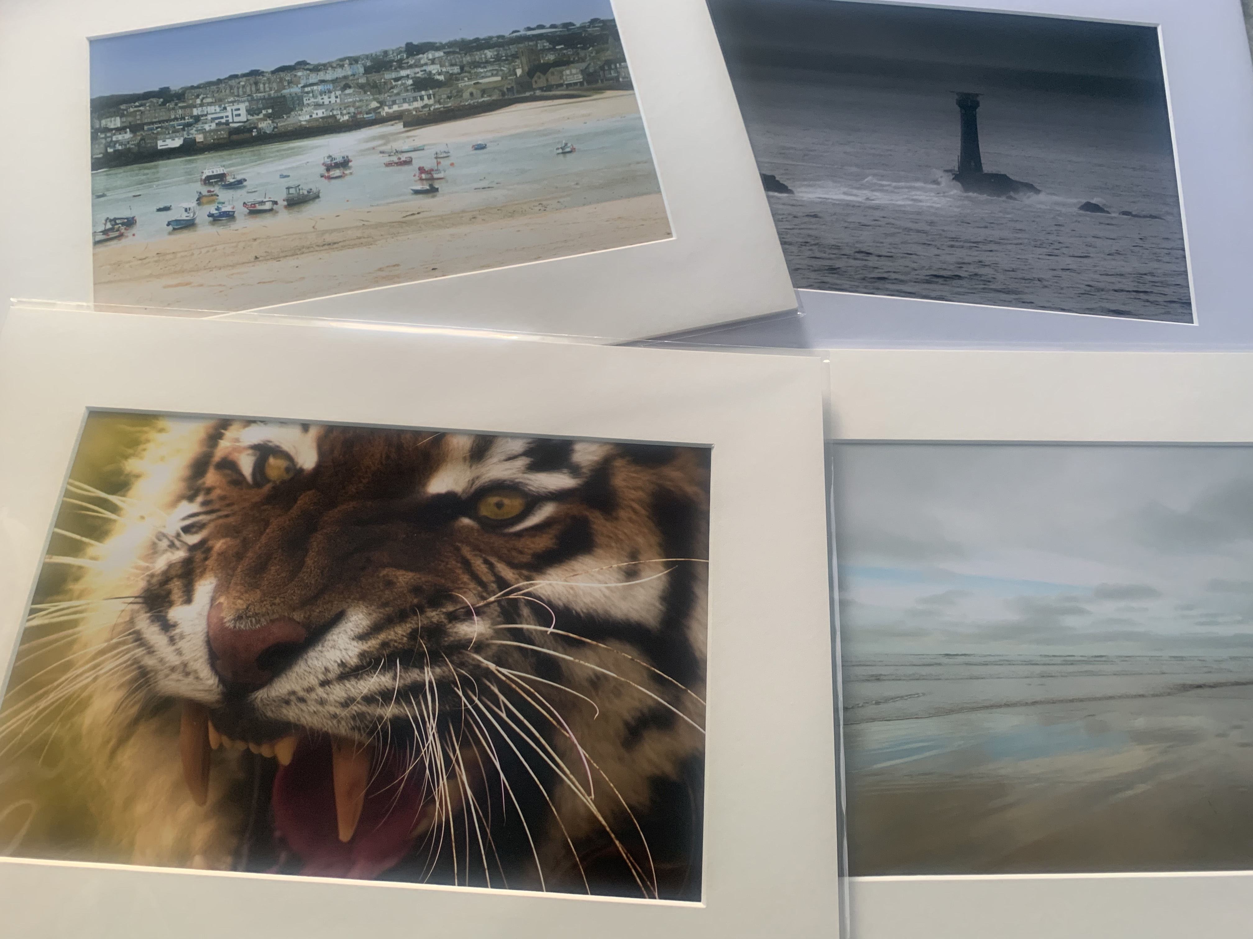 mounted prints